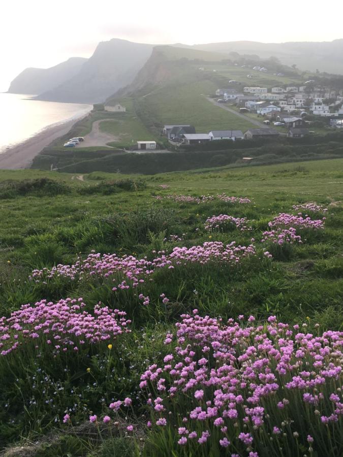 Heatherbell Cottage Guest Accommodation West Bay Buitenkant foto